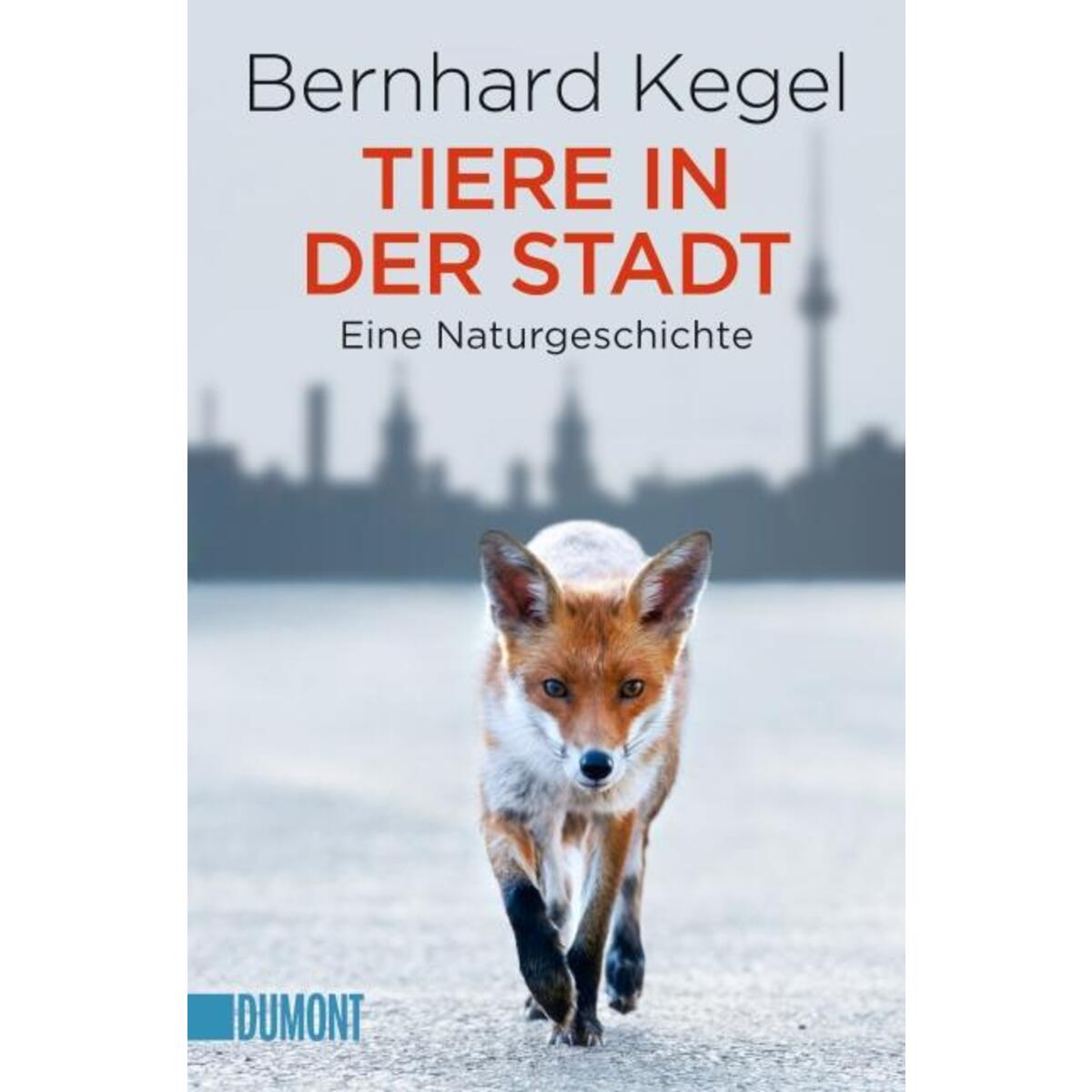 Tiere in der Stadt von Dumont