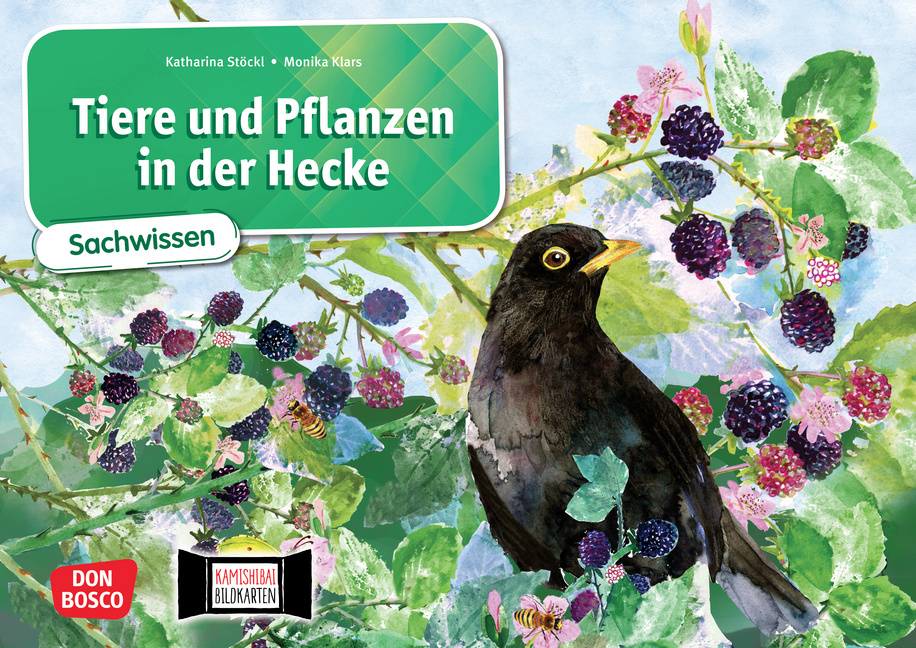 Tiere und Pflanzen in der Hecke. Kamishibai Bildkartenset Tiere und Pflanzen in der Hecke. Kamishibai Bildkartenset von Don Bosco Medien