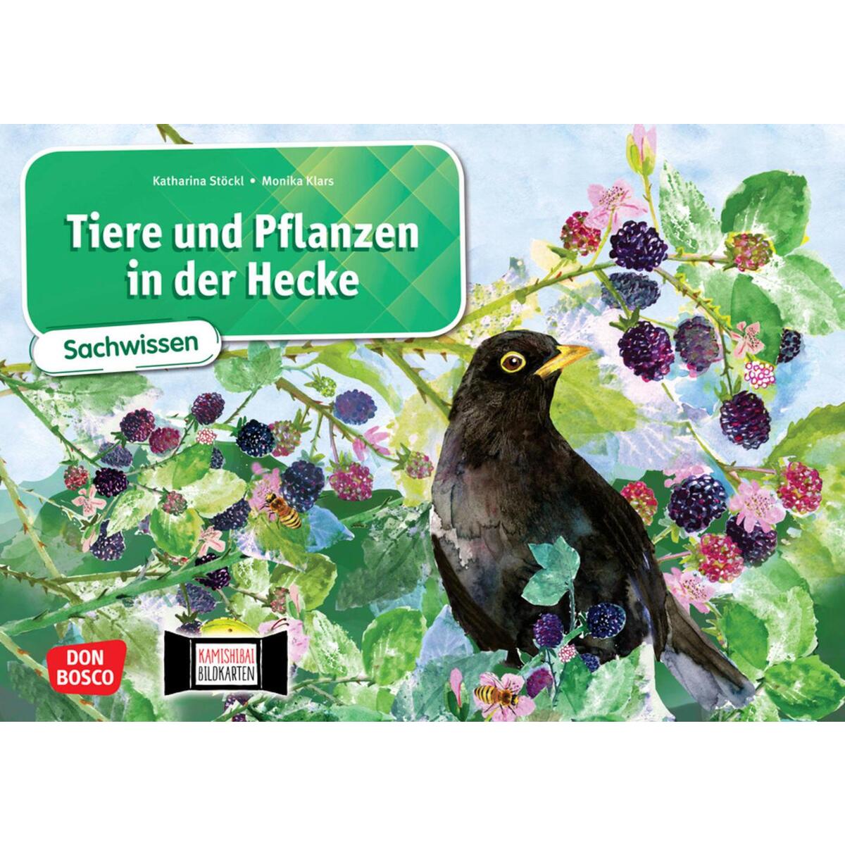 Tiere und Pflanzen in der Hecke. Kamishibai Bildkartenset. Tiere und Pflanzen in der Hecke. Kamishibai Bildkartenset. von Don Bosco Medien GmbH