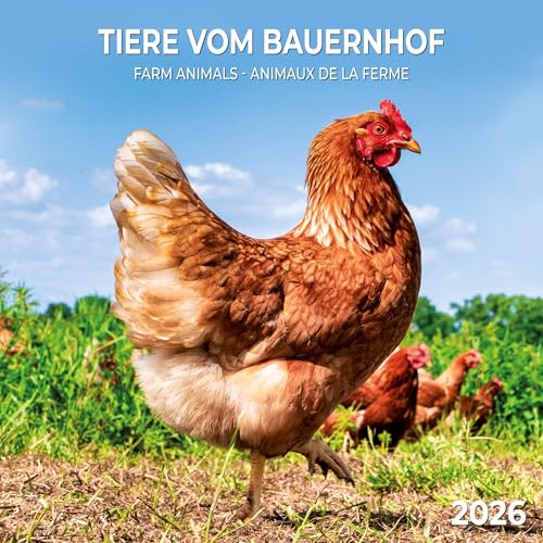 Tiere vom Bauernhof 2026: Kalender 2026 (Artwork Edition) von Tushita PaperArt