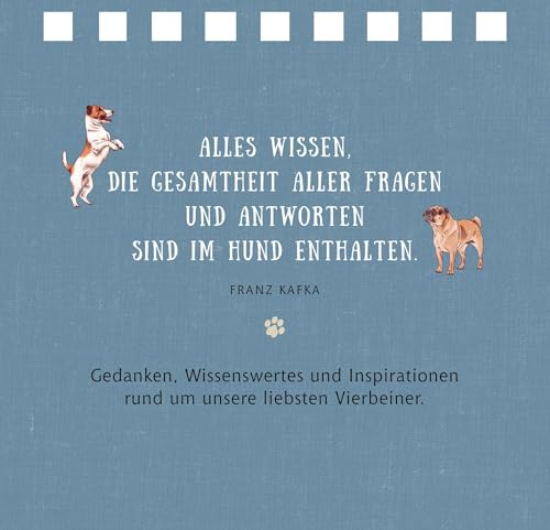 Tierisch beste Freunde (Kleines Spiralaufstellbuch)