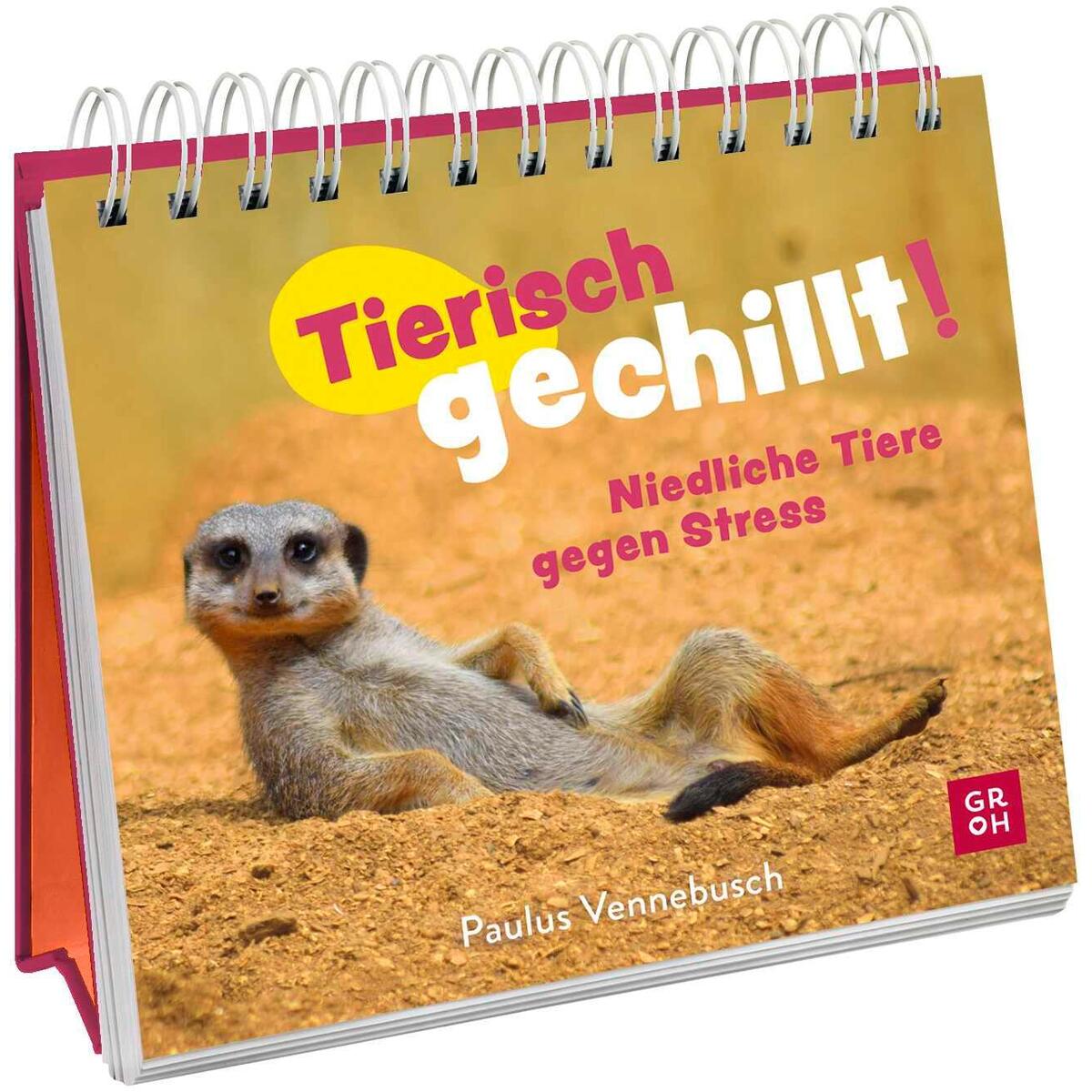 Aufstellbuch »Tierisch gechillt!« von Groh Verlag