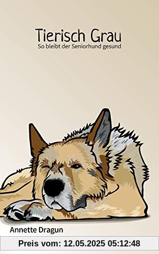 Tierisch grau: So bleibt der Seniorhund gesund
