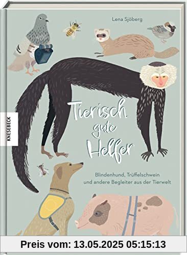 Tierisch gute Helfer: Blindenhund, Trüffelschwein und andere Begleiter aus der Tierwelt