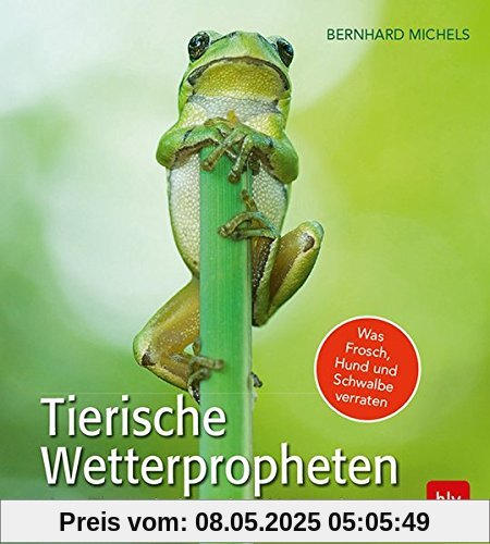 Tierische Wetterpropheten: Aus Tierverhalten das Wetter deuten