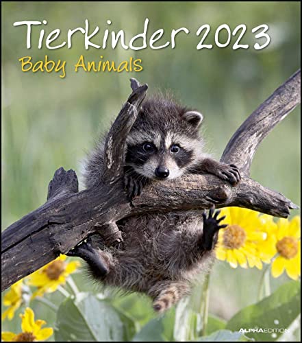 Tierkinder 2023 - Wand-Kalender - 30x34: Baby Animals von Alpha Edition
