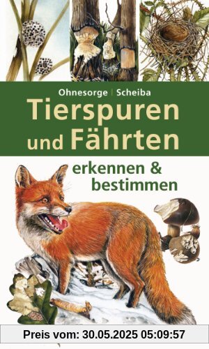 Tierspuren und Fährten erkennen & bestimmen Tierspuren und Fährten erkennen & bestimmen