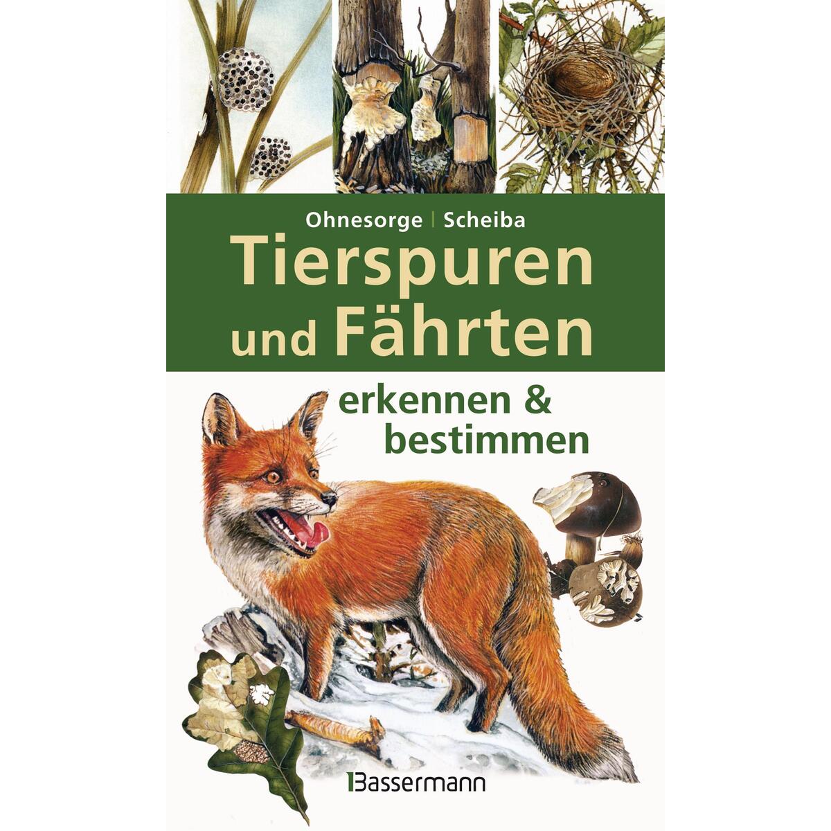 Tierspuren und Fährten erkennen & bestimmen von Bassermann, Edition
