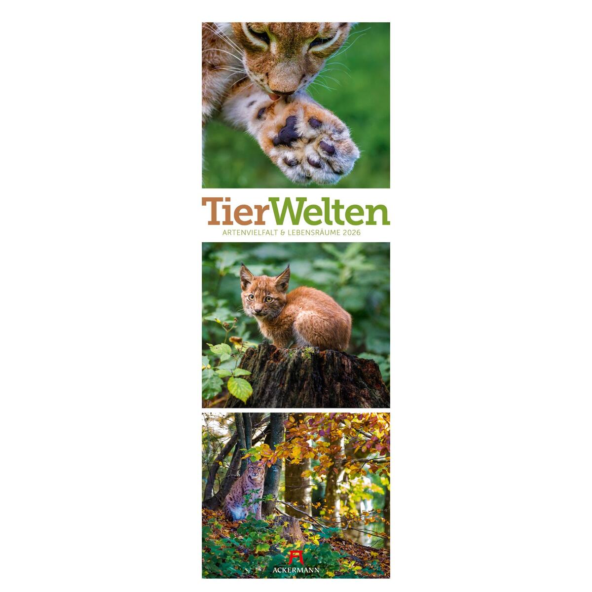 Tierwelten Triplet-Kalender 2026 | Artenvielfalt & Lebensräume Tierwelten Triplet-Kalender 2026 | Artenvielfalt & Lebensräume von Ackermann Kunstverlag