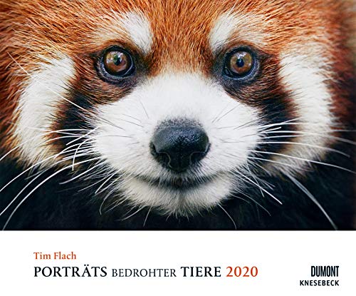 Tim Flach: Porträts bedrohter Tiere 2020 – Tier-Fotografie – Wandkalender 58,4 x 48,5 cm – Spiralbindung von Dumont Kalenderverlag