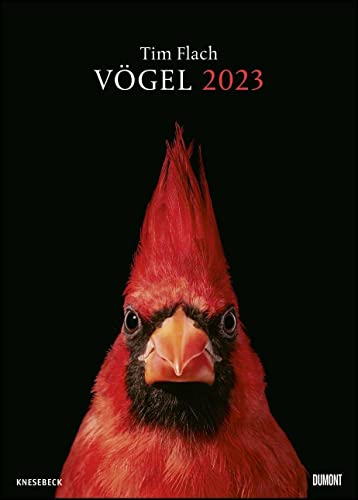 Tim Flach: Vögel 2023 – Posterkalender von DUMONT– Vogel-Porträts von Tim Flach – Poster-Format 50 x 70 cm Tim Flach: Vögel 2023 – Posterkalender von DUMONT– Vogel-Porträts von Tim Flach – Poster-Format 50 x 70 cm