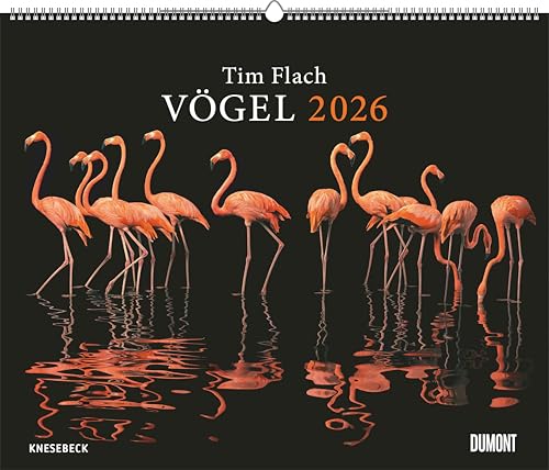 Tim Flach: Vögel 2026 – Posterkalender von DUMONT– Vogel-Porträts von Tim Flach – Poster-Format 50 x 70 cm von Knesebeck