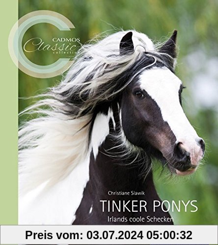 Tinker Ponys: Irlands coole Schecken (Cadmos Classic Collection)