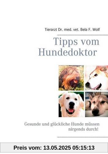 Tipps vom Hundedoktor: Gesunde und glückliche Hunde müssen nirgends durch!