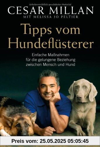 Tipps vom Hundeflüsterer: Einfache Maßnahmen für die gelungene Beziehung zwischen Mensch und Hund