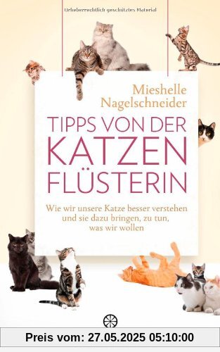 Tipps von der Katzenflüsterin: Wie wir unsere Katze besser verstehen und sie dazu bringen, zu tun, was wir wollen