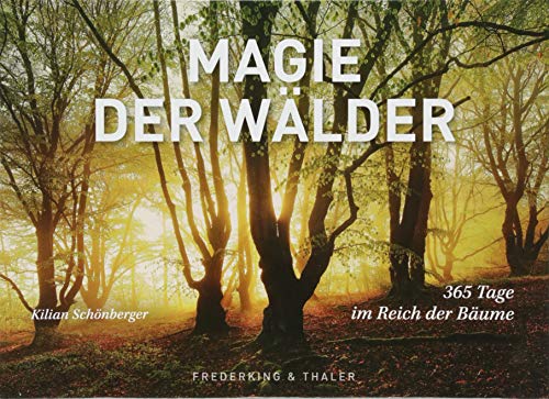 Tischaufsteller Magie der Wälder: 365 Tage im Reich der Bäume