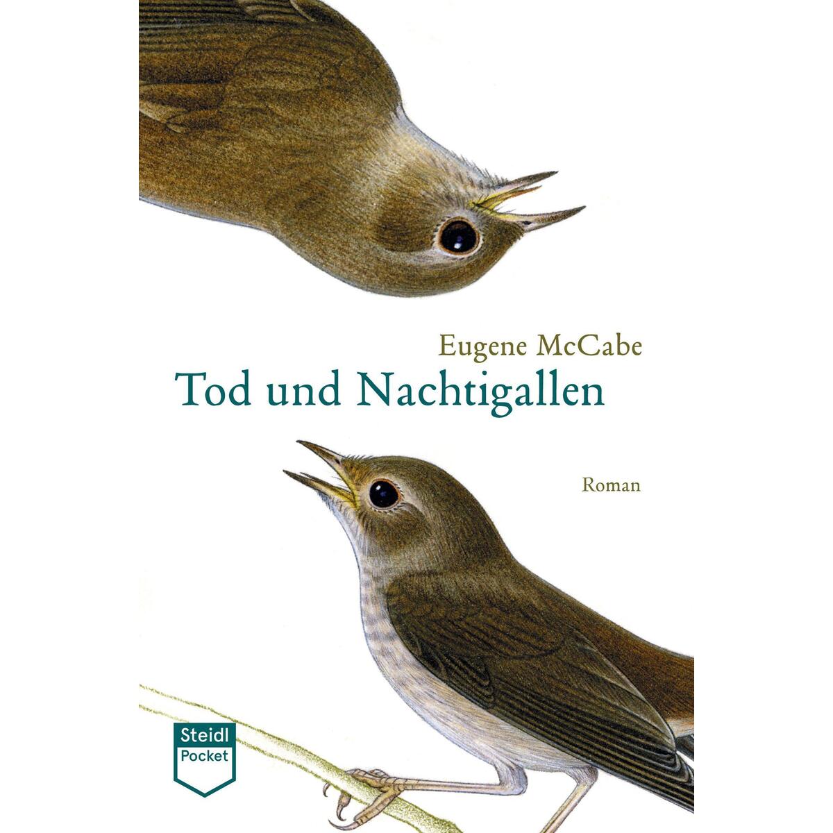 Tod und Nachtigallen (Steidl Pocket) von Steidl GmbH & Co.OHG