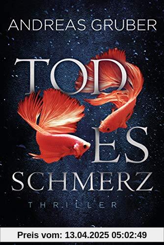 Todesschmerz: Maarten S. Sneijder und Sabine Nemez 6 - Thriller