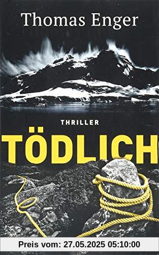 Tödlich: Thriller (Henning-Juul-Romane, Band 5)