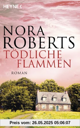 Tödliche Flammen: Roman