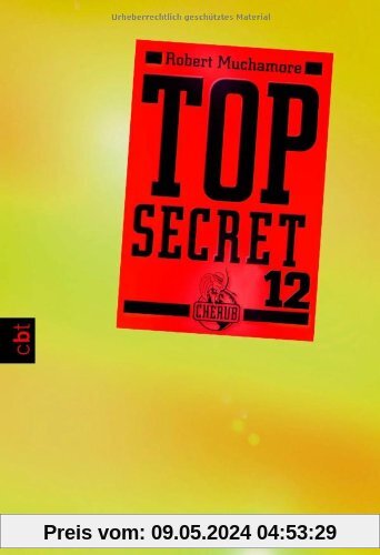 Top Secret 12 - Die Entscheidung