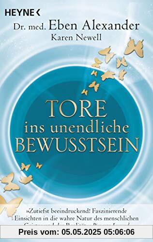 Tore ins unendliche Bewusstsein: Die Grenzen der Realität überwinden und die wahre Natur des Lebens entdecken