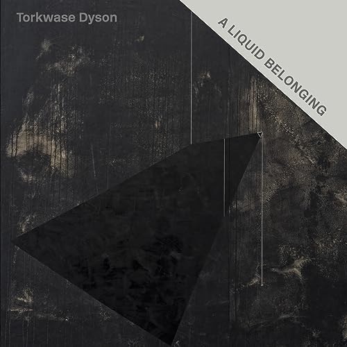 Torkwase Dyson: A Liquid Belonging von Pace Publishing