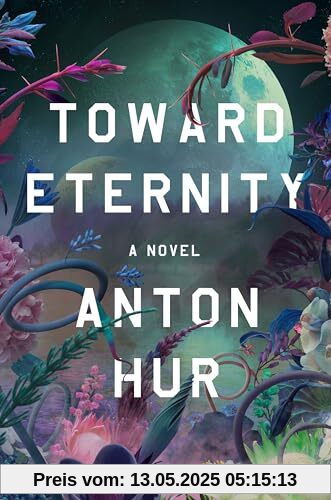 Toward Eternity: A Novel