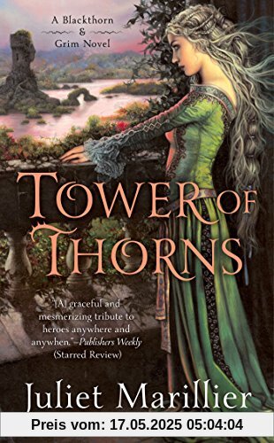 Tower of Thorns (Blackthorn & Grim, Band 2)