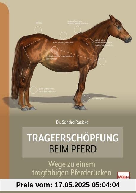 Trageerschöpfung beim Pferd: Wege zu einem tragfähigen Pferderücken
