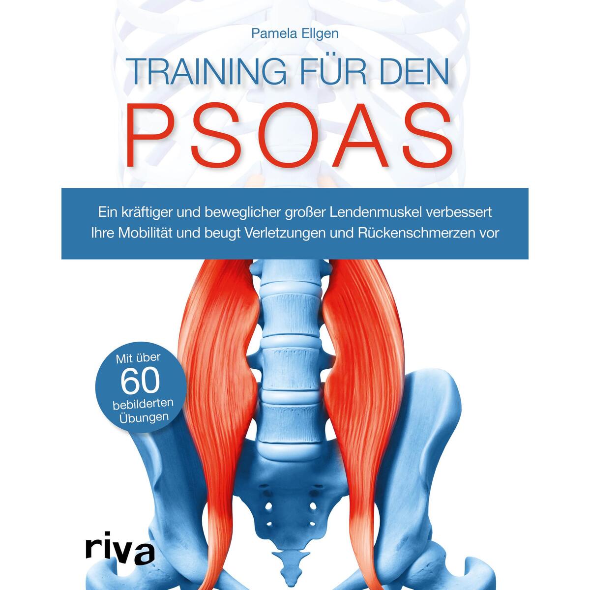 Training für den Psoas Training für den Psoas von riva Verlag
