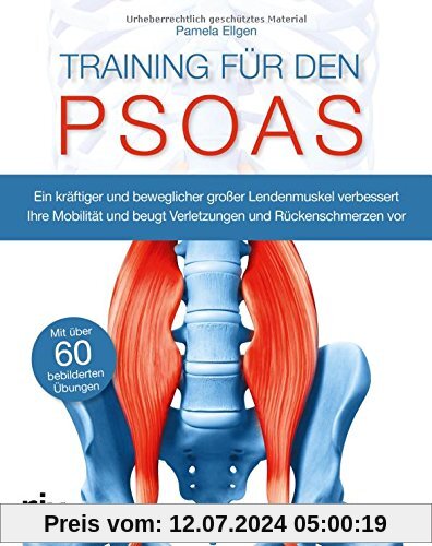 Training für den Psoas: Ein kräftiger und beweglicher großer Lendenmuskel verbessert Ihre Mobilität und beugt Verletzungen und Rückenschmerzen vor