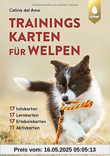 Trainingskarten für Welpen