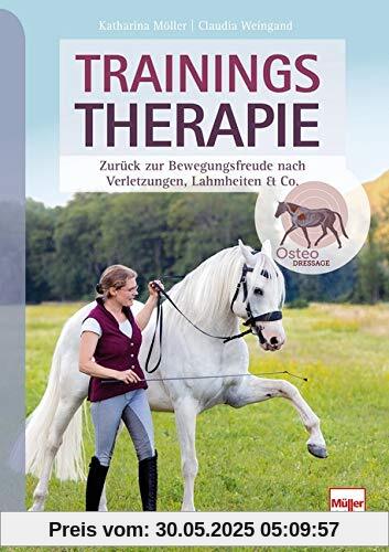 Trainingstherapie: Zurück zur Bewegungsfreude nach Verletzungen, Lahmheiten & Co.
