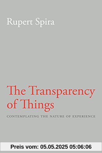 Transparency of Things: Contemplating the Nature of Experience