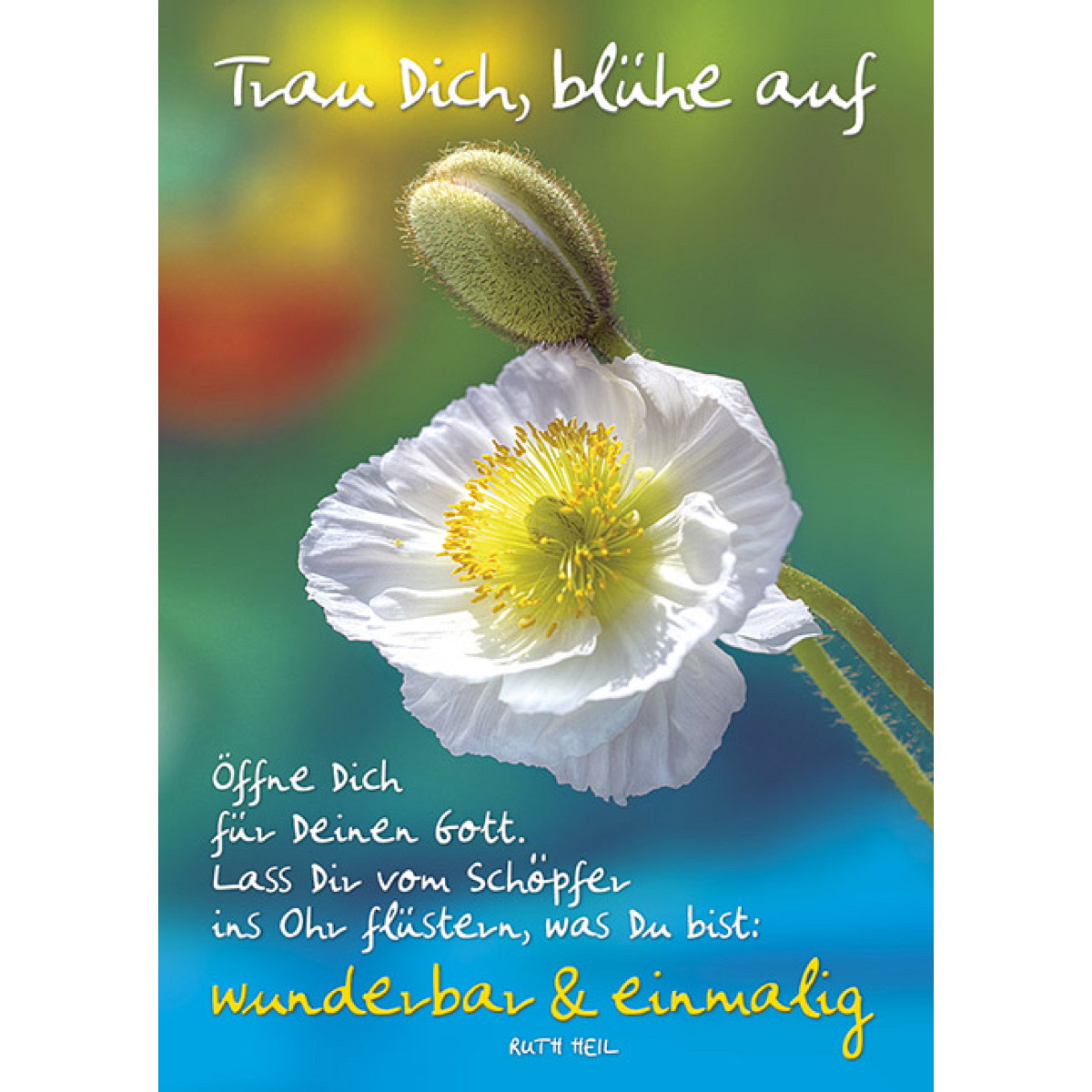 Trau Dich von Kawohl-Verlag