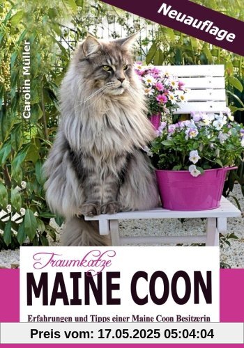 Traumkatze Maine Coon - Erfahrungen und Tipps einer Maine Coon Besitzerin