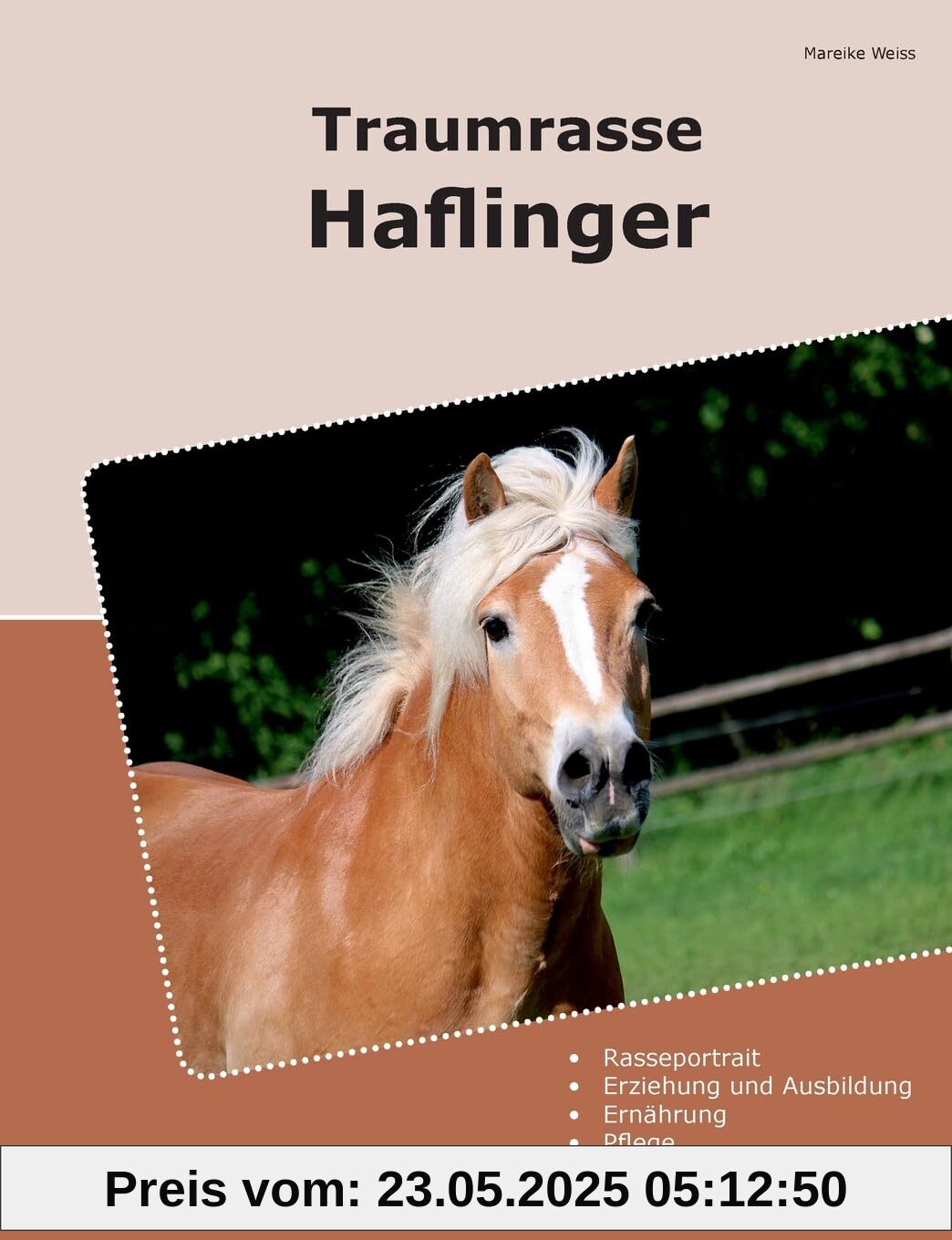 Traumrasse Haflinger Traumrasse Haflinger