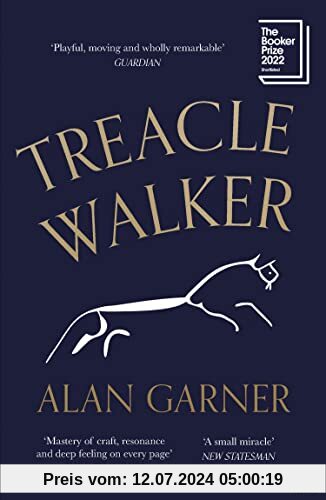 Treacle Walker: Shortlisted for the 2022 Booker Prize and a Guardian Best Fiction Book of 2021