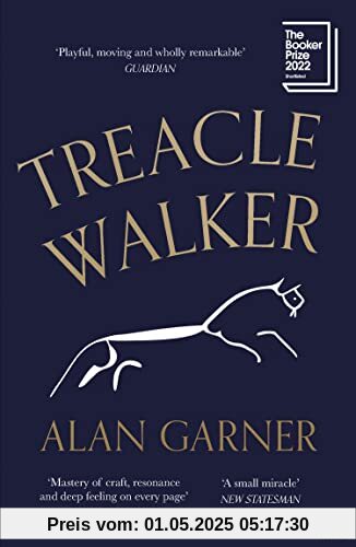 Treacle Walker: Shortlisted for the 2022 Booker Prize and a Guardian Best Fiction Book of 2021