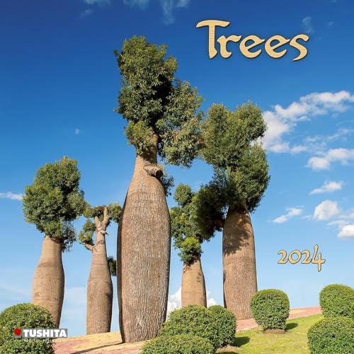 Trees 2024: Kalender 2024 (Mindful Edition) von Tushita PaperArt