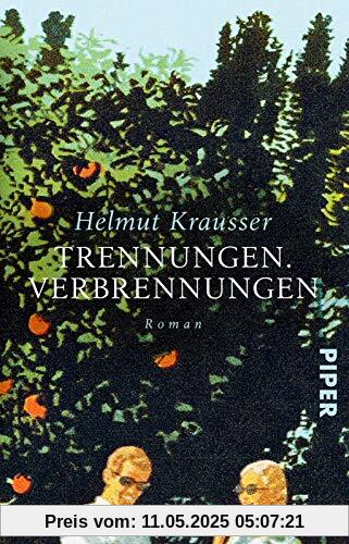 Trennungen. Verbrennungen: Roman