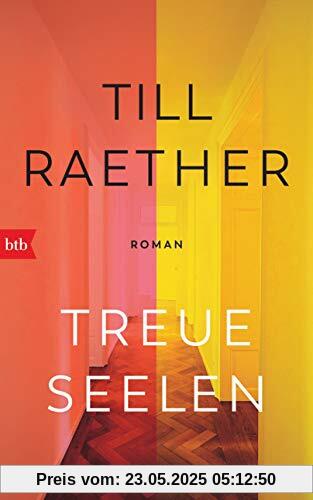 Treue Seelen: Roman