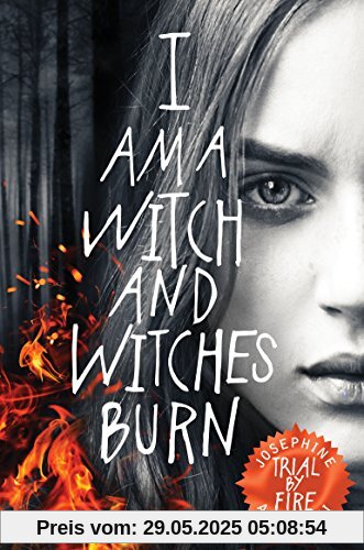 Trial By Fire (The Worldwalker Trilogy, Band 1)