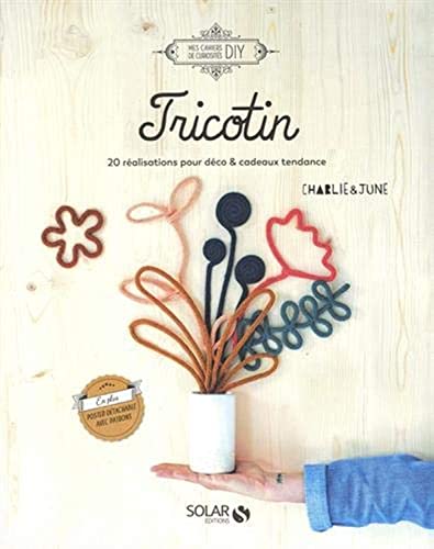 Tricotin - 20 réalisations pour déco & cadeaux tendance