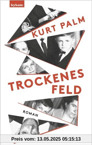 Trockenes Feld: Roman