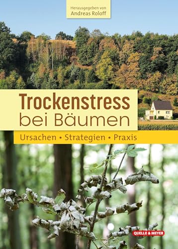 Trockenstress bei Bäumen: Ursachen • Strategien • Praxis