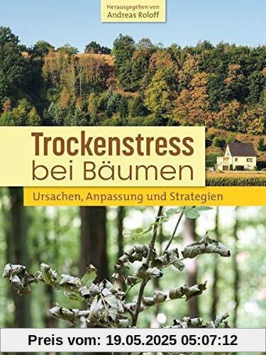 Trockenstress bei Bäumen: Ursachen • Strategien • Praxis