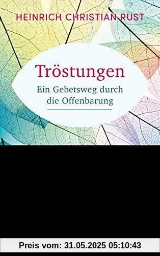 Tröstungen: Ein Gebetsweg durch die Offenbarung Tröstungen: Ein Gebetsweg durch die Offenbarung